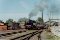 DSC01843.jpg