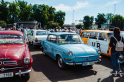 350kb-20250601-M2A05754_KOVOZOO_VETERANI_2025.jpg