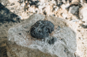 DSC04147.jpg