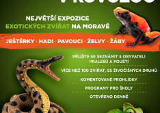 OTEVÍRÁME TERÁRIUM v KOVOZOO