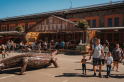 350KB-20250920-_25_1275_KOVOZOO_REMESLA_2025.jpg